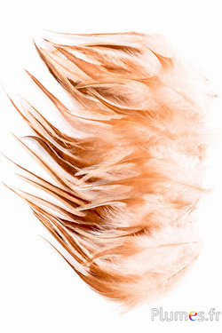 Haan - gebleekt - 10-15 cm - crème-bruin